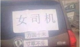 云南爆料女司机视频播放,真相究竟如何？